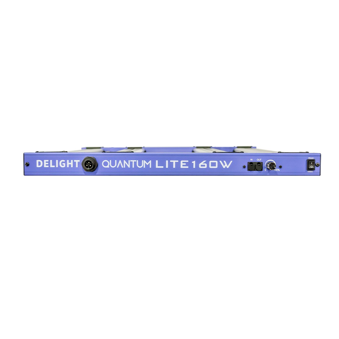 NEW QUANTUM LITE 160W-DELIGHT - imagen 2