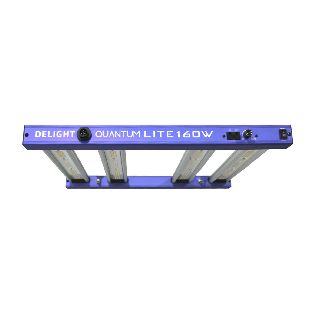 NEW QUANTUM LITE 160W-DELIGHT - imagen 3