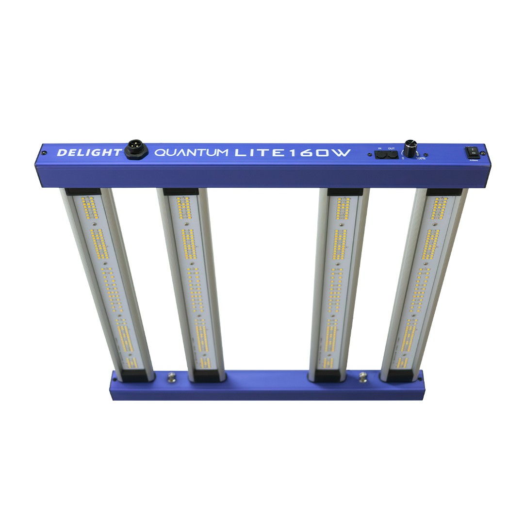 NEW QUANTUM LITE 160W-DELIGHT - imagen 4