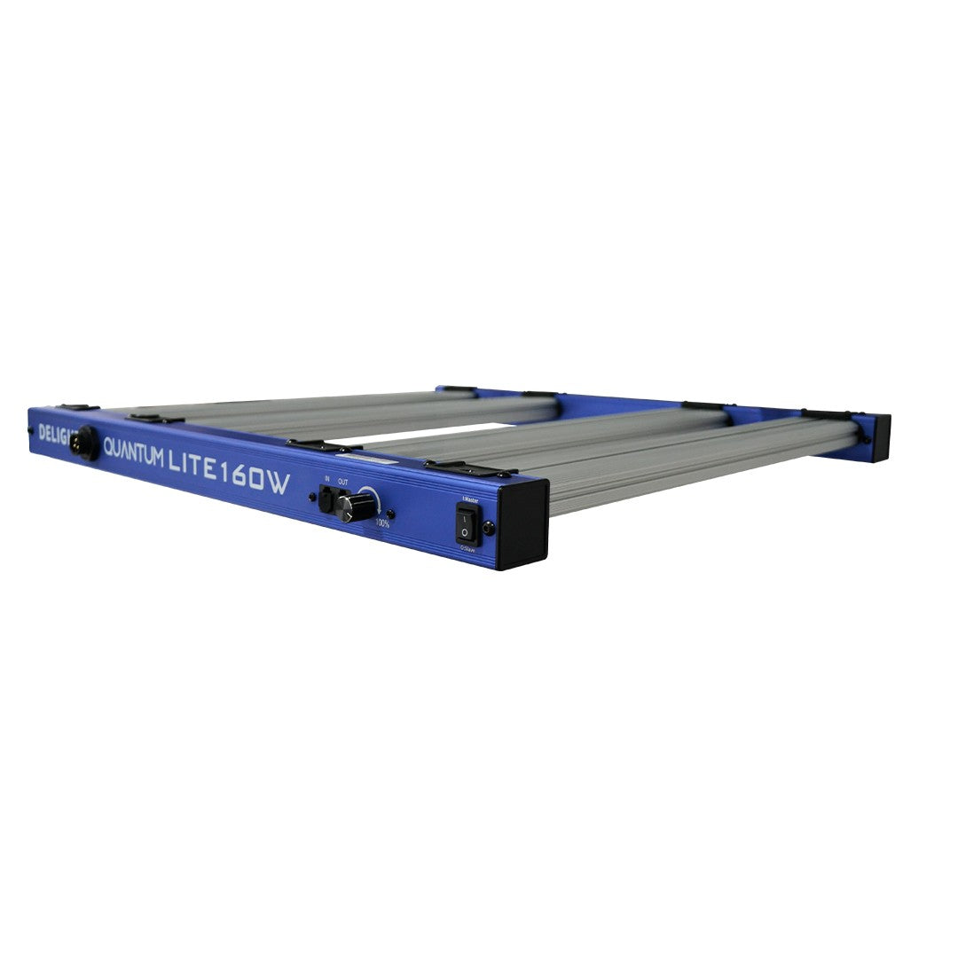 NEW QUANTUM LITE 160W-DELIGHT - imagen 5