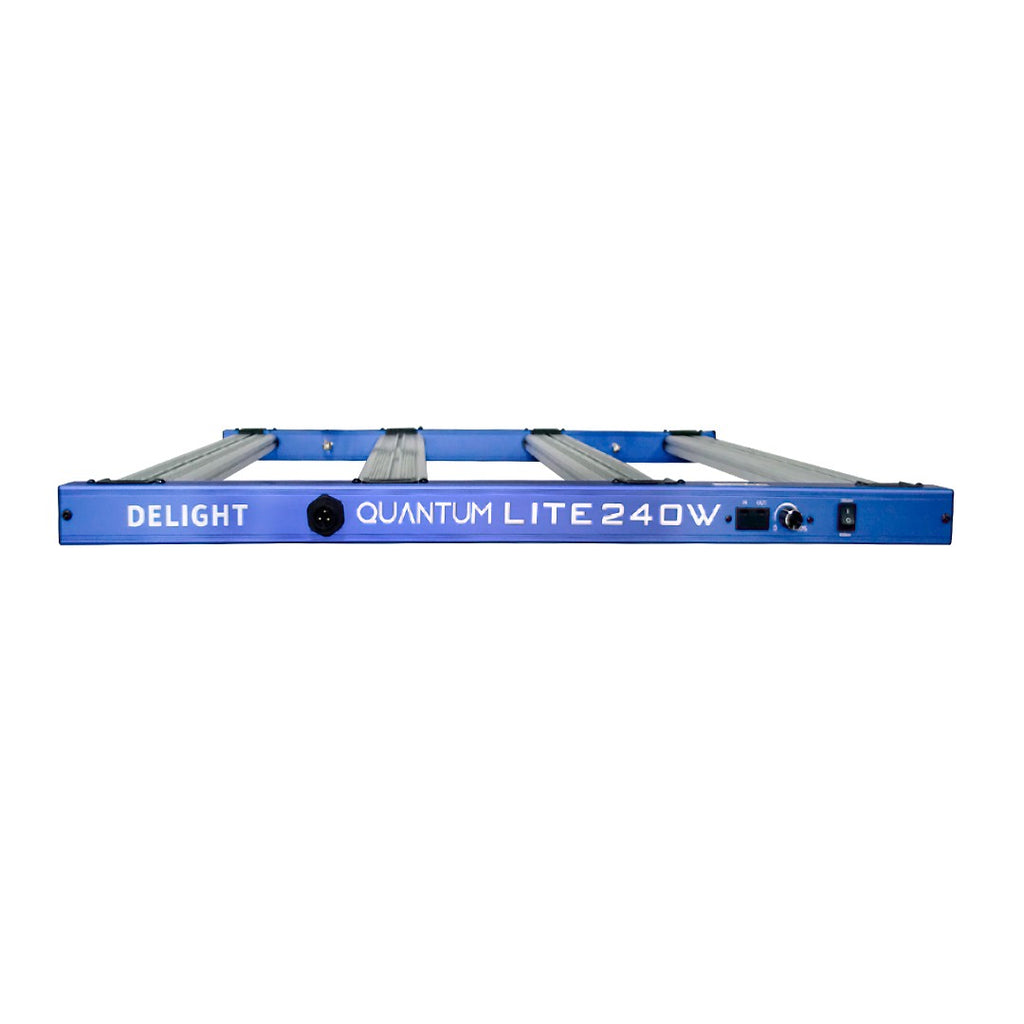 NEW QUANTUM LITE 240W-DELIGHT - imagen 2