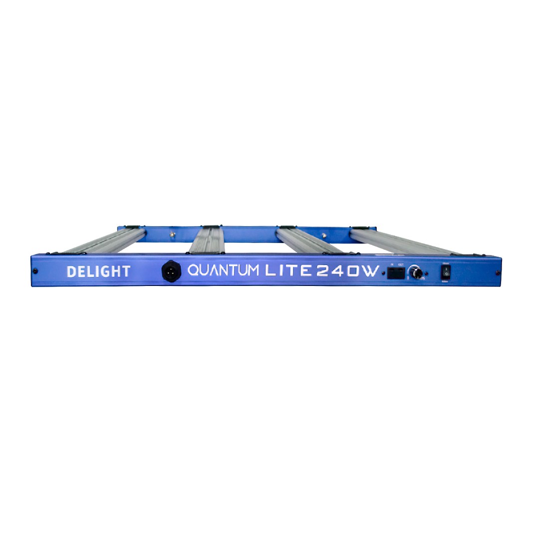 NEW QUANTUM LITE 240W-DELIGHT - imagen 2