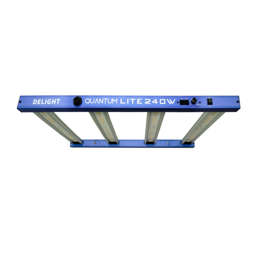 NEW QUANTUM LITE 240W-DELIGHT - imagen 3