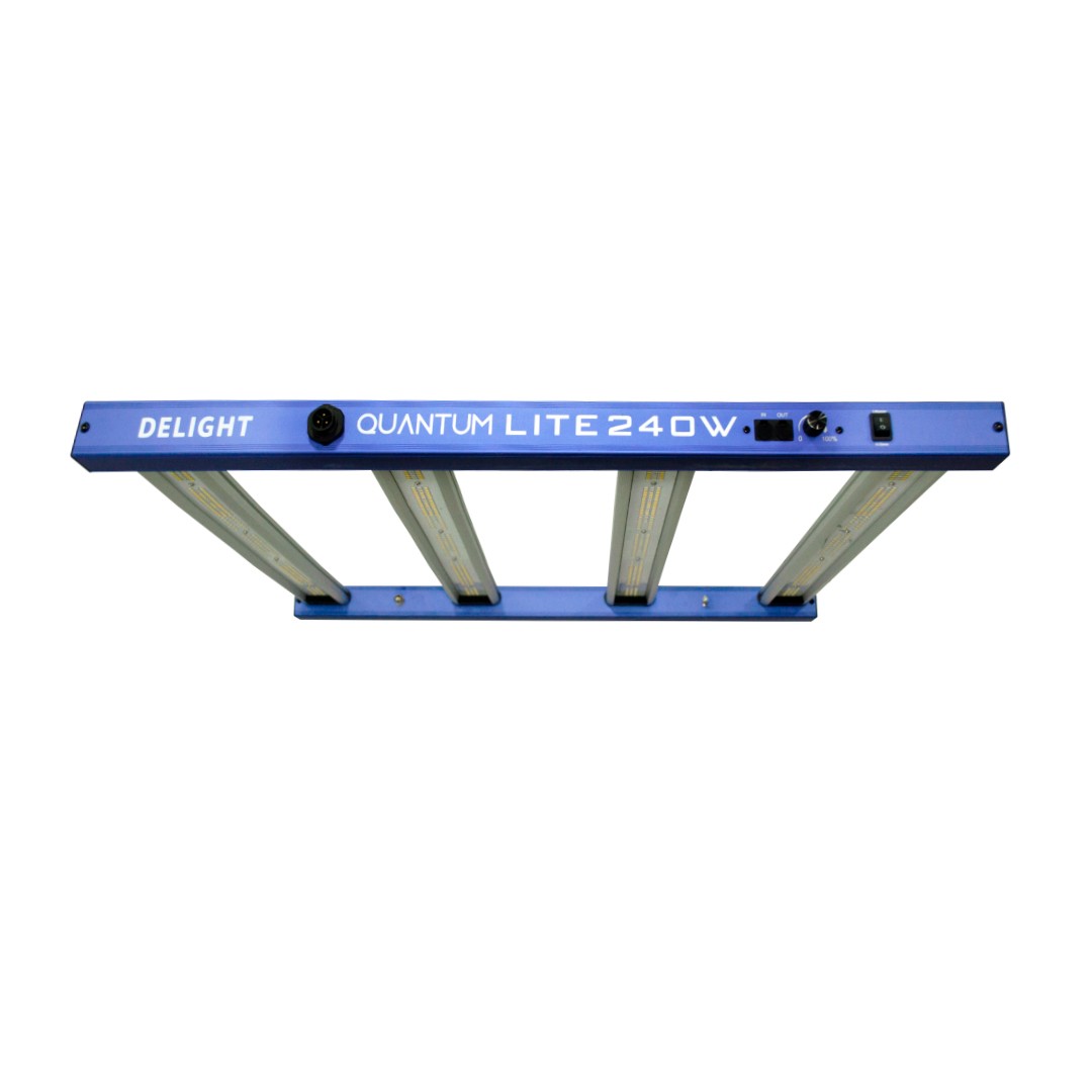 NEW QUANTUM LITE 240W-DELIGHT - imagen 3