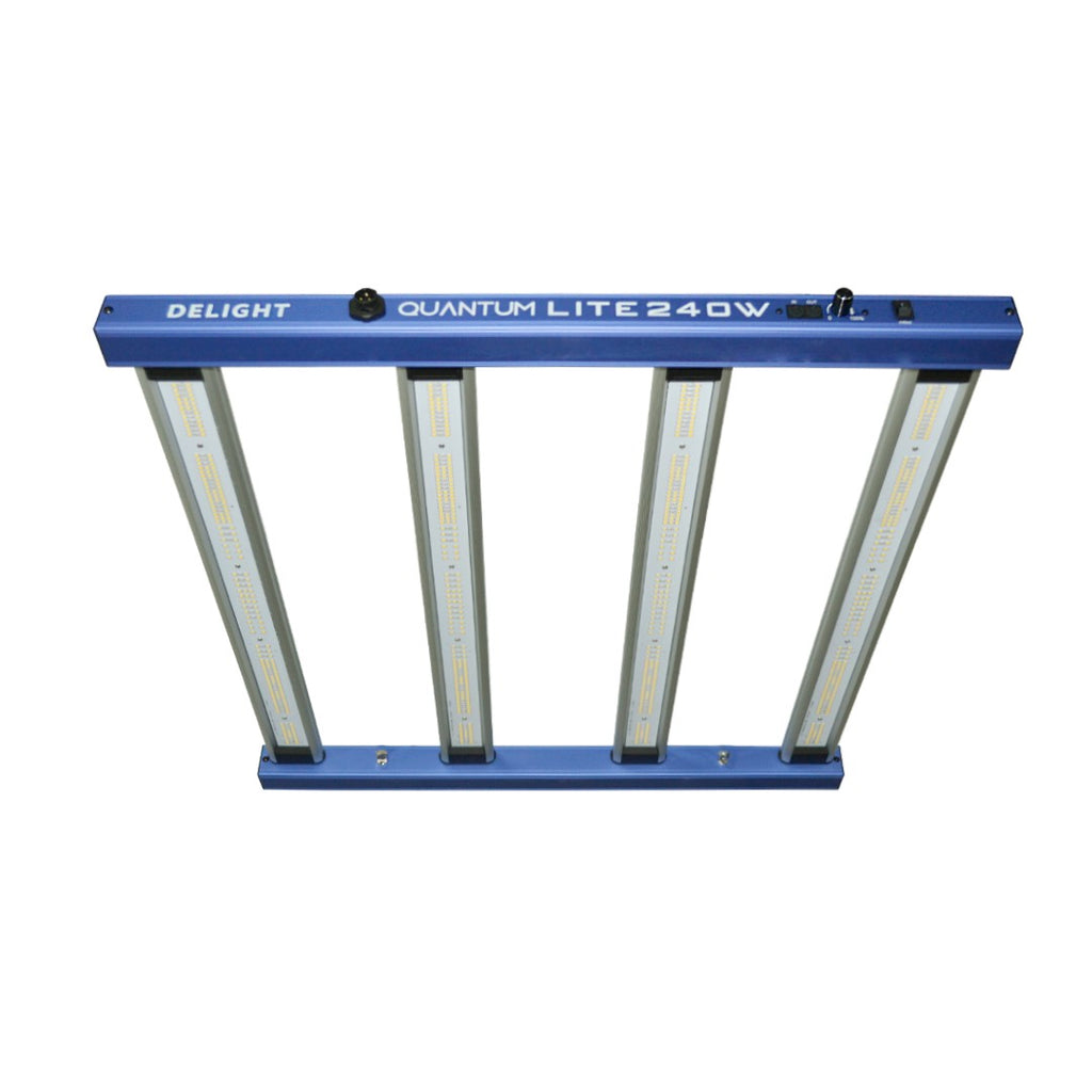 NEW QUANTUM LITE 240W-DELIGHT - imagen 4