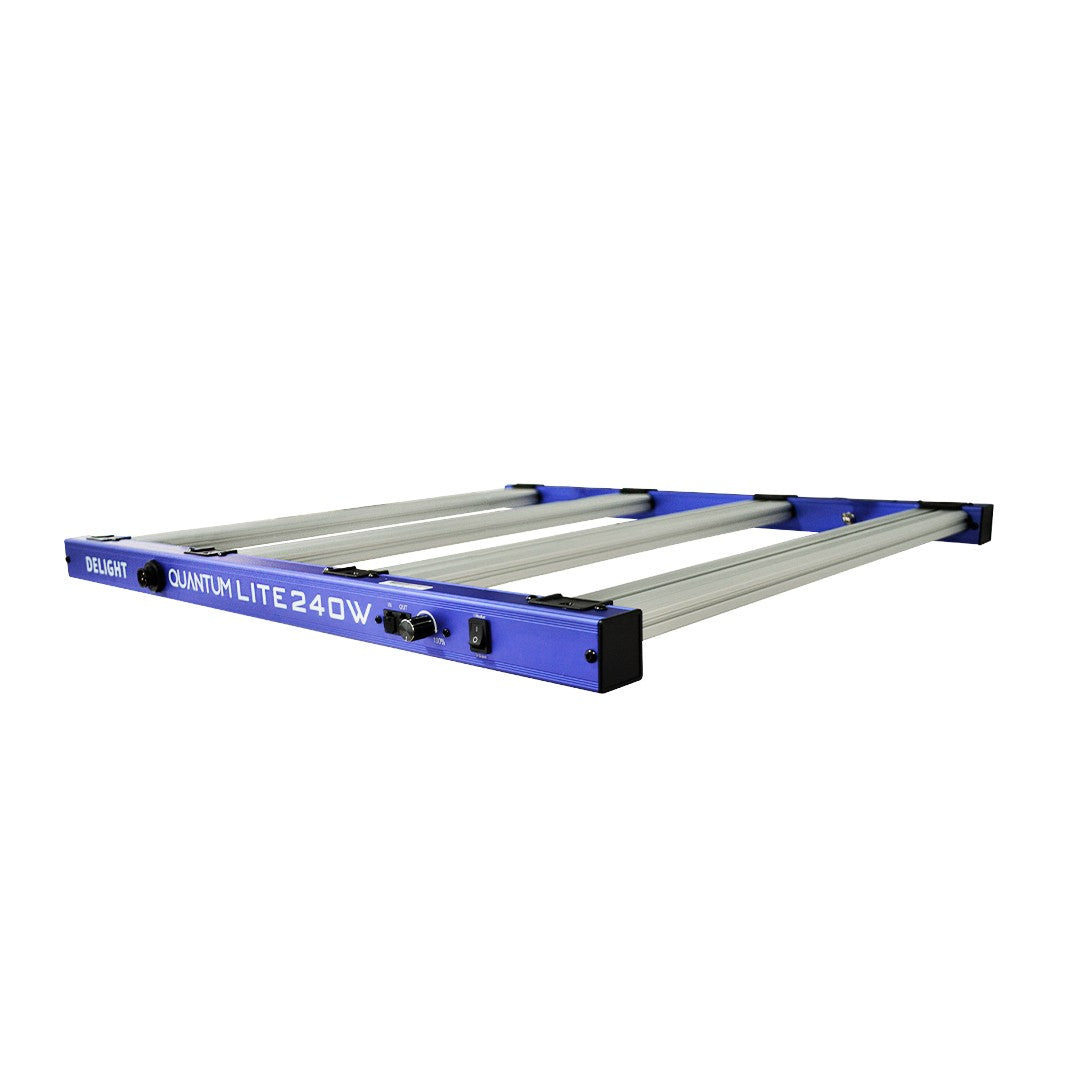 NEW QUANTUM LITE 240W-DELIGHT - imagen 5