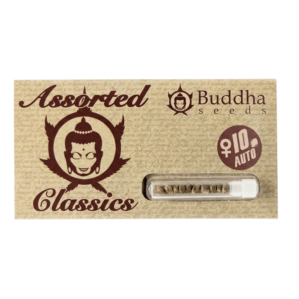ASSORTED CLASSICS AUTO X10-BUDDHA SEEDS