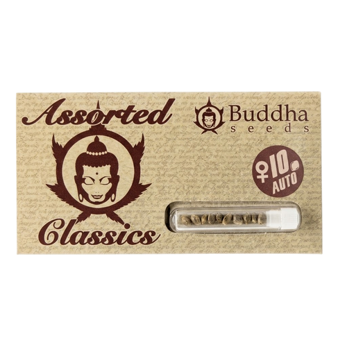 ASSORTED CLASSICS AUTO X10-BUDDHA SEEDS