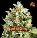 DOUBLE COOKIES SP AUTO X7 - BSF