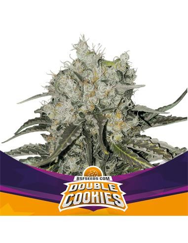 DOUBLE COOKIES SP COOKIES FEM X7 - BSF