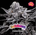 RAINBOWS SP FEM X2 - BSF