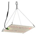 LED QUANTUM BOARD 65W