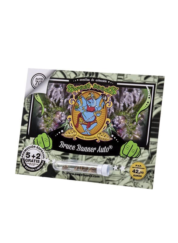 BRUCE BANNER AUTO X25-SWEET SEEDS - imagen 2