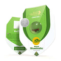 ROYAL BLUEMATIC AUTO X3-ROYAL QUEEN