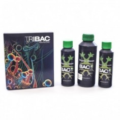 TRIBAC -BAC