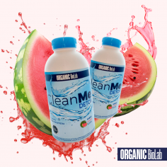 CLEAN ME DETOX SANDIA-ORGANIC BIOLAB