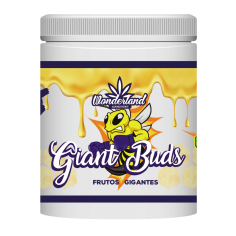 GIANT BUDS ENGORDE MINERAL PK 52-34 500G-WONDERLAND