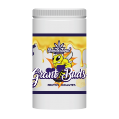 GIANT BUDS ENGORDE MINERAL PK 52-34 1KG-WONDERLAND