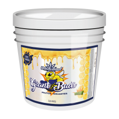 GIANT BUDS ENGORDE MINERAL PK 52-34 3.5KG-WONDERLAND