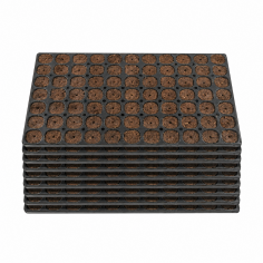 BOX 10 BANDEJAS 77U ROOT PLUG COCO/TURBA - CANNA