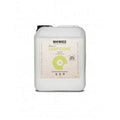 RECARGA LEAF COAT ASPESOR 10 LT-BIOBIZZ