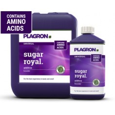 SUGAR ROYAL 100ML- PLAGRON
