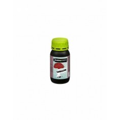 GUARDIAN 250ML- MARIA GREEN