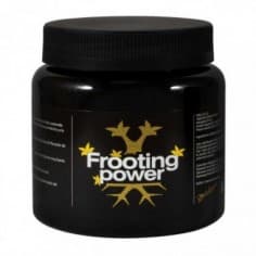 FROOTING POWER 325GR-BAC