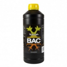 YUCCAH 1LT-BAC