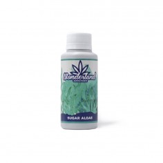 SUGAR ALGAE 120ML-WONDERLAND