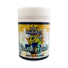 GIANT BUDS ENGORDE PK52-34 120GR-WONDERLAND