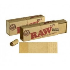 TIPS CARTON PREPICADO CON GOMA 24 UD-RAW