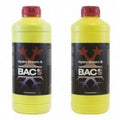 HIDRO BLOOM A&B 1LT-BAC