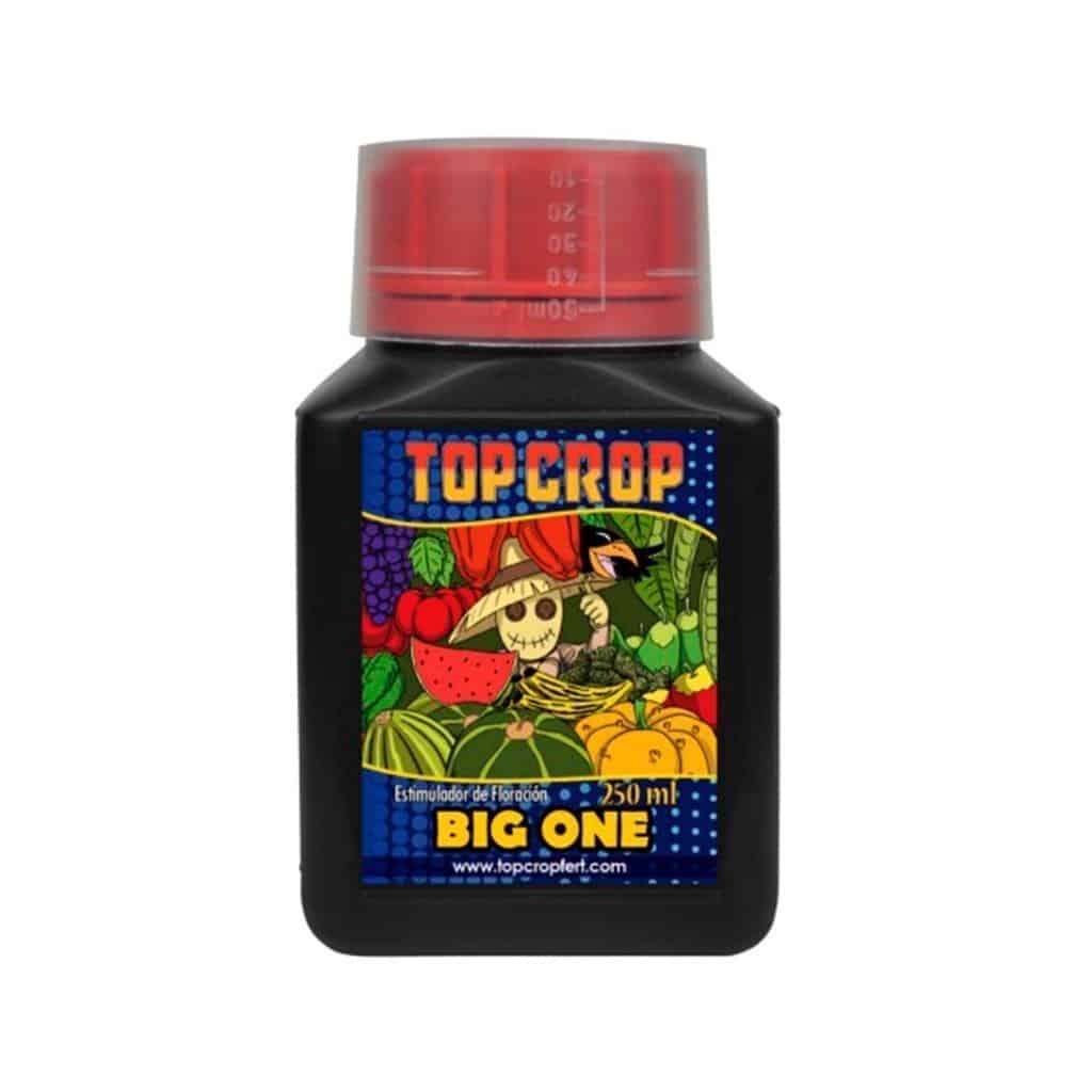 Big One 250 ml - Top Crop